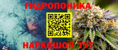 PSILOCYBIN Лесосибирск