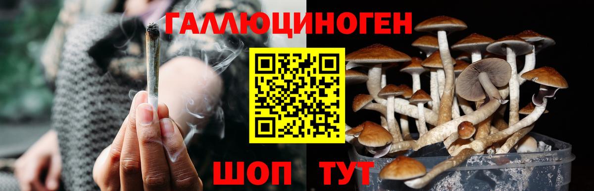 Горячий Ключ  Галлюциногенные грибы Psilocybe  Псилоцибиновые грибы Cubensis  Вход с VPN 